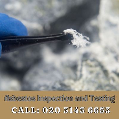 Comprehensive Asbestos Inspection and Testing Services in North Woolwich